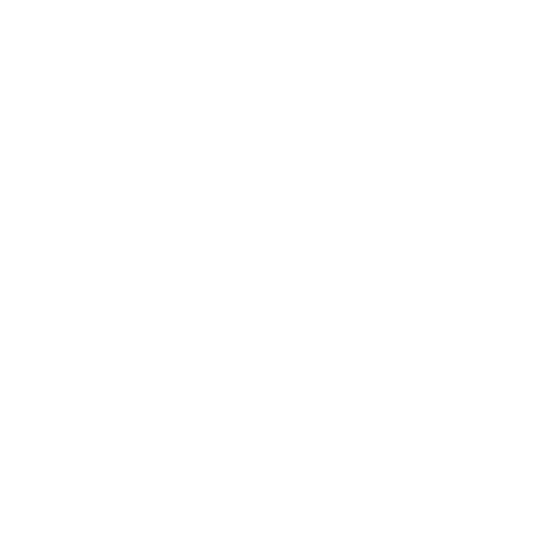 Bacchetti Tecnologie